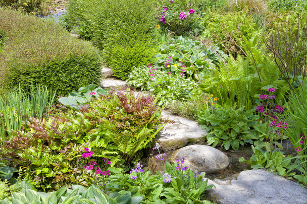 Sendero a pie sobre piedras a través del floreciente jardín inglés
 - Foto, Imagen