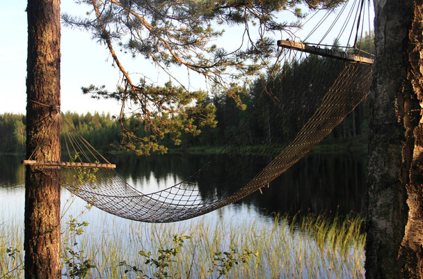 Белые финские ночи, природа и лак
 - Фото, изображение