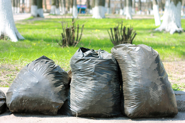 Μαύρες πλαστικές σακούλες σκουπιδιών στο πάρκο, άνοιξη καθαρισμού.  - Φωτογραφία, εικόνα