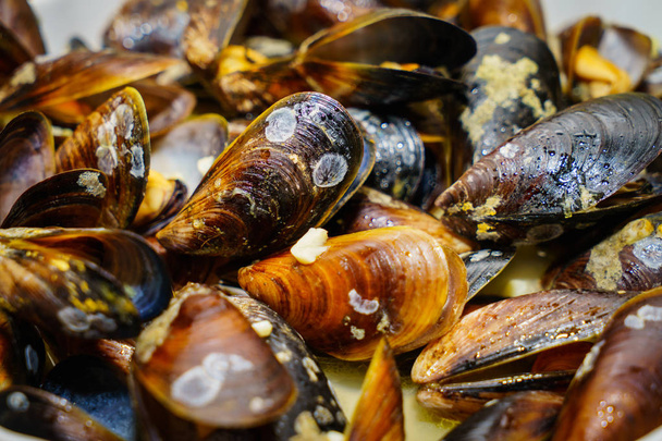 Fried mussels in shell - Foto, Imagen