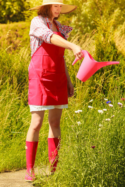 woman watering plants in garden - Фото, изображение