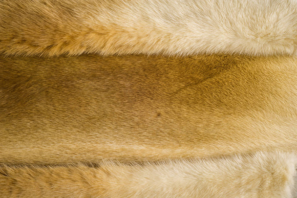 Texture, background. Mink fur - Photo, Image