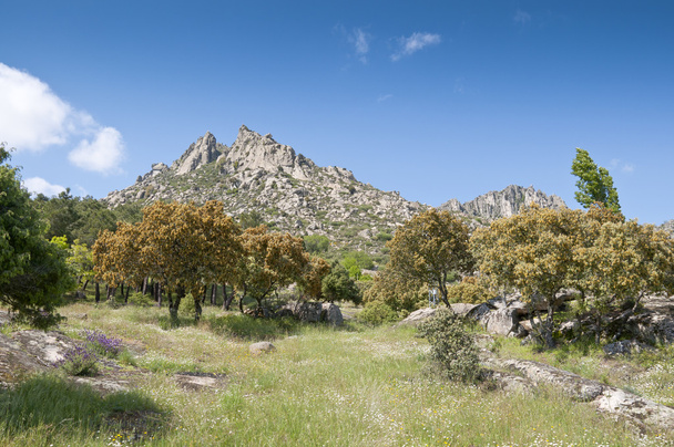 horská krajina v sierra de la cabrera - Fotografie, Obrázek