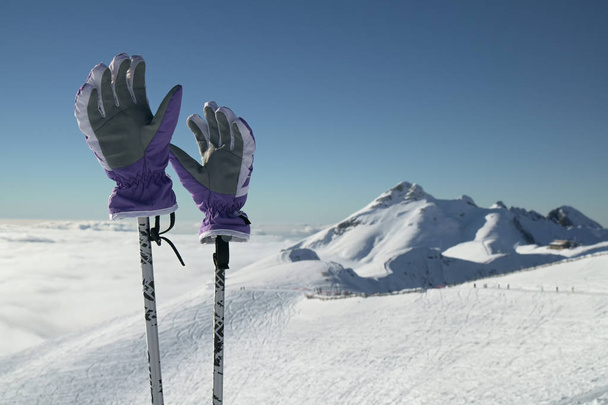 Ski gloves on poles on the background of southern slope Aibga Ridge of Western Caucasus at Rosa Khutor Alpine Resort - Foto, afbeelding
