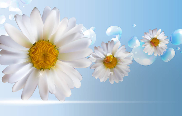 Resumen Flores de manzanilla Fondo natural de primavera y verano
 - Vector, Imagen