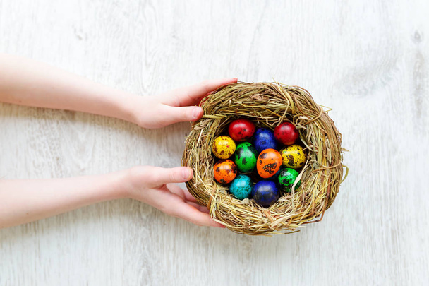 Child holding nest with Easter eggs - Фото, изображение