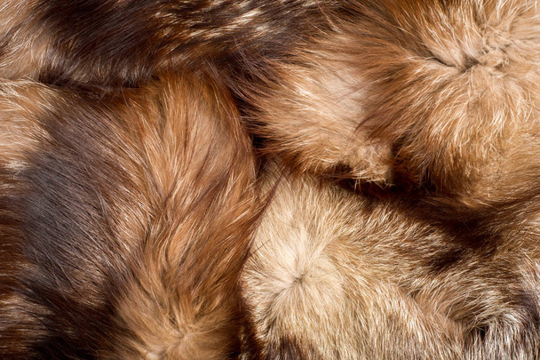 Pele. O casaco do animal. A pele do animal. textura Fundo. Pele de raposa
 - Foto, Imagem