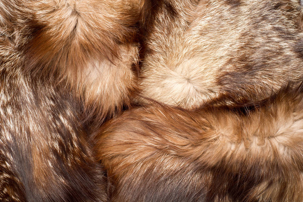pelliccia. Il cappotto dell'animale. texture sfondo
 - Foto, immagini