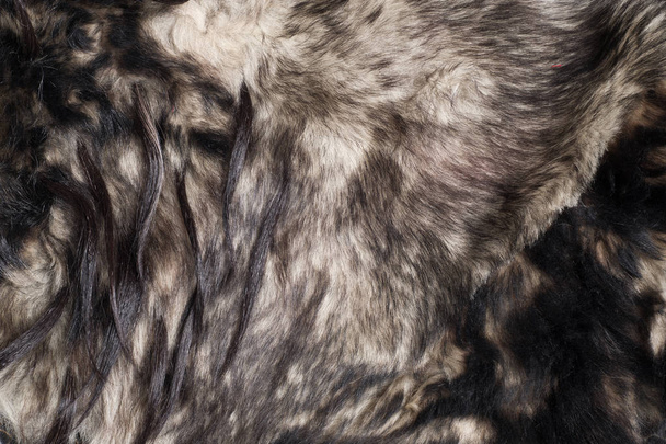 Piel. El pelaje del animal. El pelaje del animal. textura fondo
 - Foto, Imagen