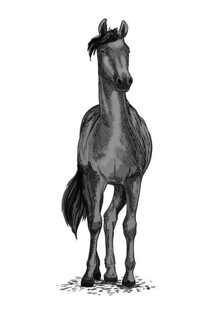 Simbolo vettoriale nero del cavallo selvatico o del trotto
 - Vettoriali, immagini