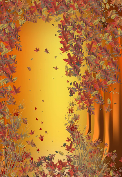 floresta de outono - Vetor, Imagem