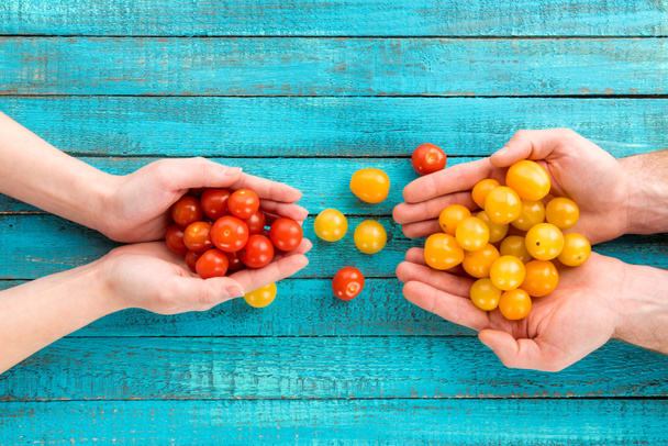 hands holding cherry-tomatoes - Photo, Image