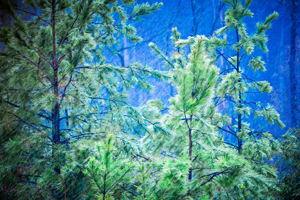 абстрактный зимний шторм на вечнозеленом фоне
 - Фото, изображение