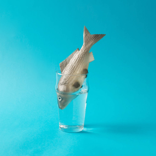 Fish in glass of water - Fotografie, Obrázek
