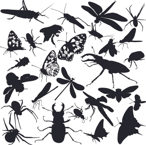 Collection of insects - Vector, Image