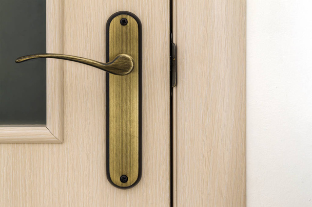Moderno, contemporâneo cetim porta de madeira alça de metal close-up det
 - Foto, Imagem