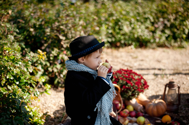 Boy and vegetables - Foto, afbeelding