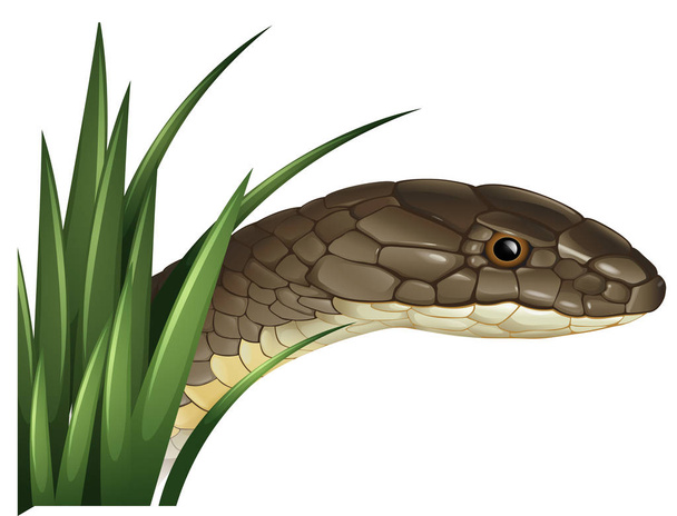 Дикая змея за кустом
 - Вектор,изображение