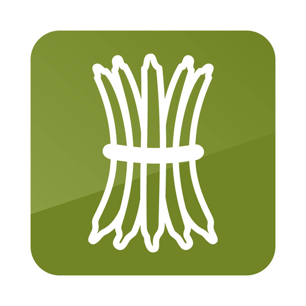 Green bean outline icon. Vegetable vector - Vector, Image