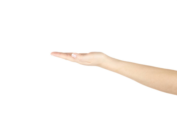 Woman's hand on a white background. Isolated. - Foto, immagini