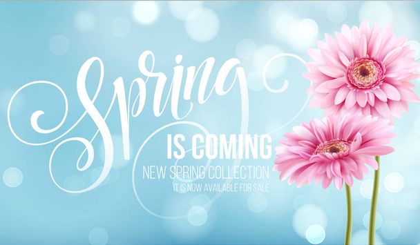 Gerbera Flower Background and Spring Lettering. Vector Illustration - Vector, Image