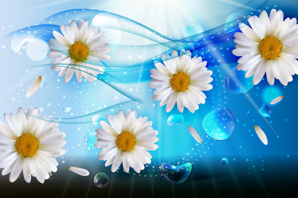 Abstract Chamomile Flowers Natural Spring and Summer Background - Vector, Image