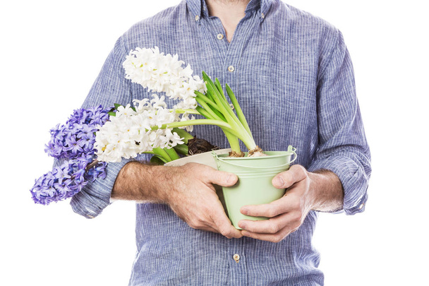 Flowers in gardener's or florist's hands isolated on white - Foto, imagen