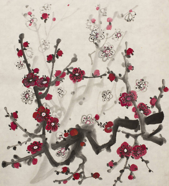 blossoming branch of plum - Valokuva, kuva