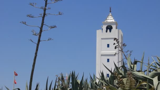 weißer Turm in sidi bou sagte tunisia - Filmmaterial, Video