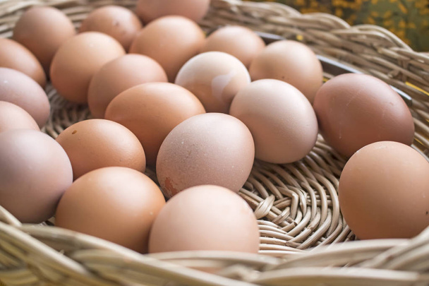 Huevos de pollo fondo
 - Foto, imagen