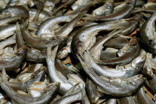 Makréla hal-piac, Thaiföld - Fotó, kép