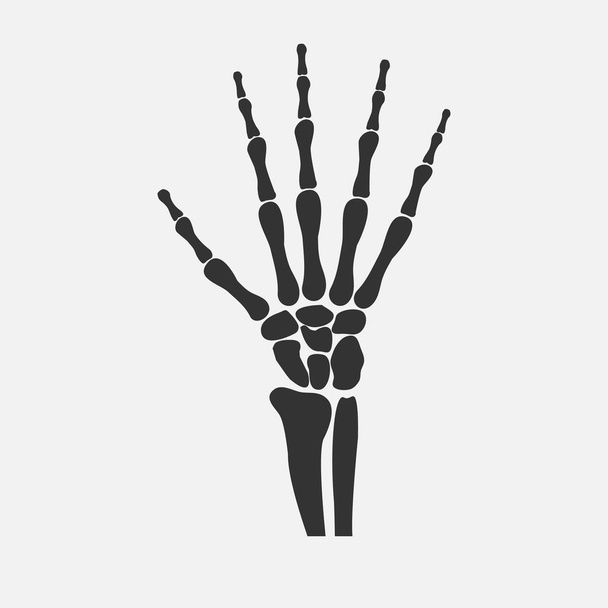 csukló kéz csontjai - Vektor, kép