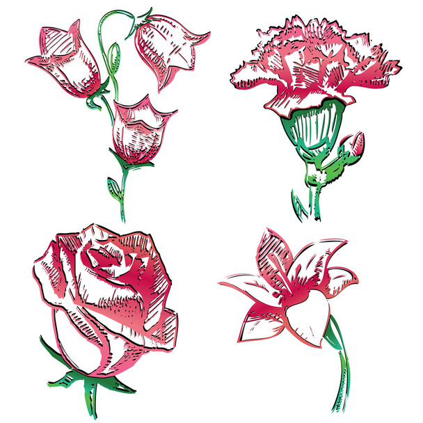 Collection de fleurs. Dessin à la main dessin vectoriel illustration
 - Vecteur, image