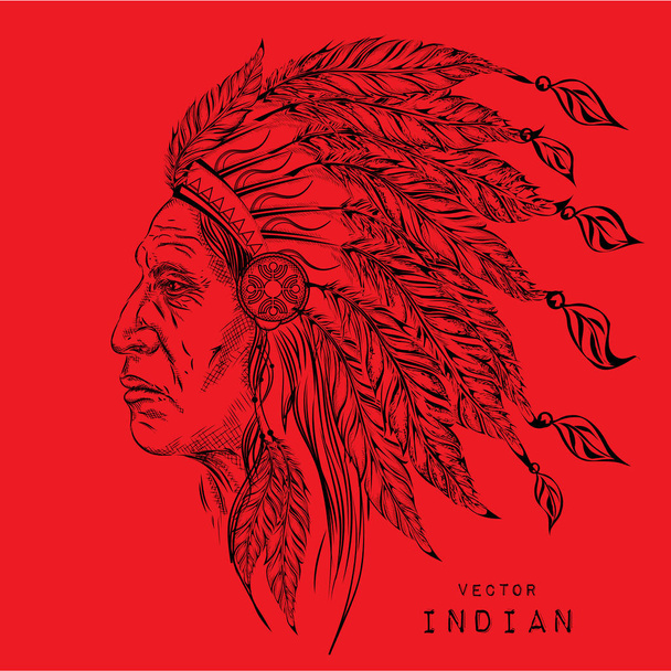 Человек в индейском вожде индейцев. Черный таракан. Индийский головной убор орла. Векторная иллюстрация
 - Вектор,изображение