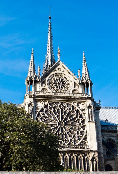 Notre Dame de Paris Cathedral, France - Photo, image