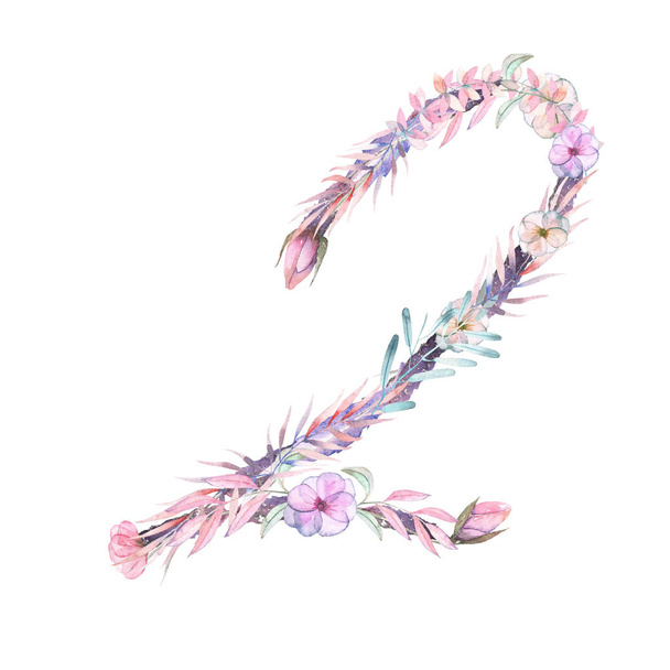 Номер " 2 " акварельних рожевих і фіолетових квітів, ізольована рука намальована на білому тлі
 - Фото, зображення