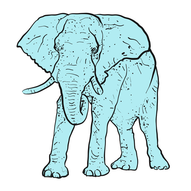 Elephant Outline dots colored blue - Vector, Image