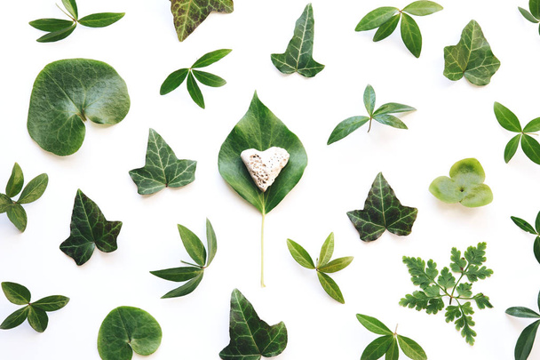 Zielone liście i kamienne serce - Zdjęcie, obraz
