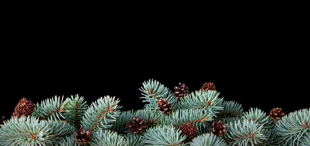 Christmas Background - Foto, Bild