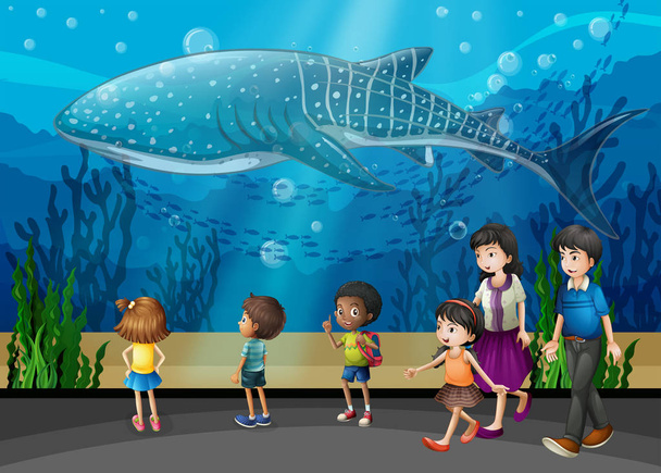 Killer whale in the aquarium - Vector, Image