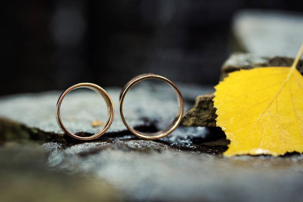 hermosos anillos de boda sobre un fondo de piedra, en hojas de otoño, accesorios nupciales, boda europea, boda americana
 - Foto, imagen