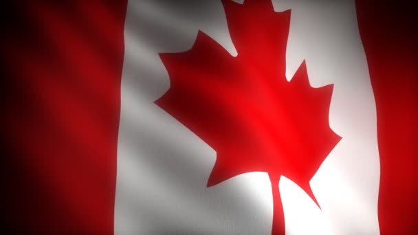 Flagge von Kanada - Filmmaterial, Video