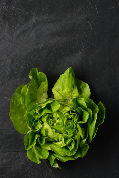 Lettuce Head on a Dark Gray Stone Surface Copy Space - Foto, imagen