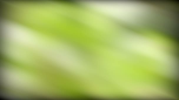 abstract green background - Footage, Video