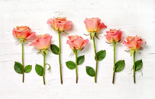 pink roses on white wood background - Photo, Image