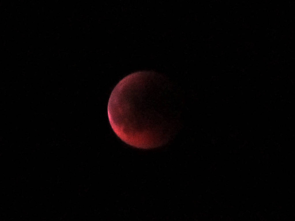 Або Ієгуда Місячне затемнення червень 2011 - Фото, зображення