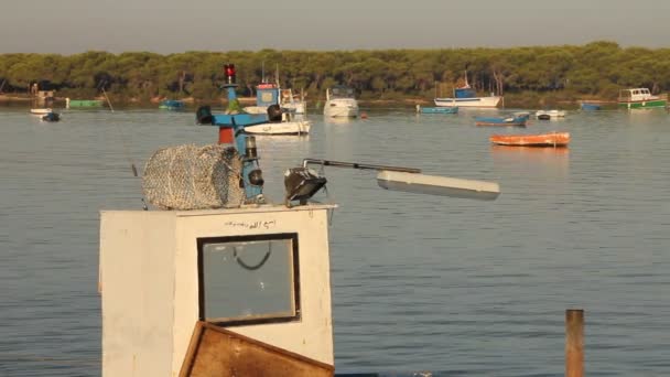 ukotvený rybářský člun - Záběry, video