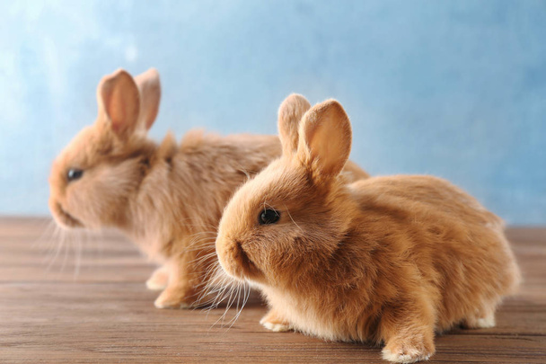 Two cute rabbits on wooden floor - Φωτογραφία, εικόνα