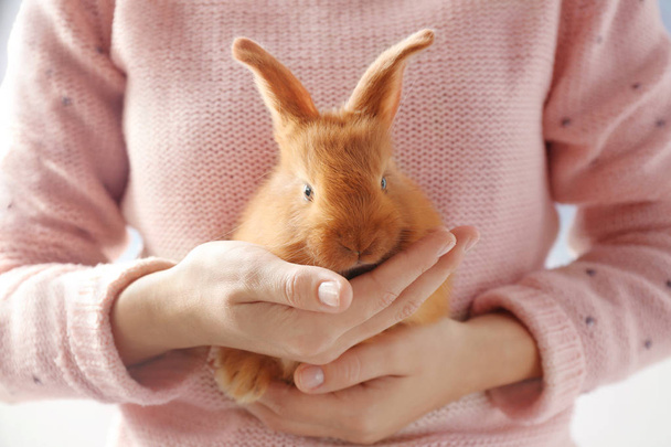Cute red bunny in female hands - Foto, Imagem