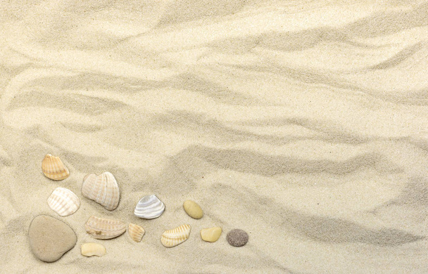 Areia do mar com seixos e conchas para fundo
 - Foto, Imagem